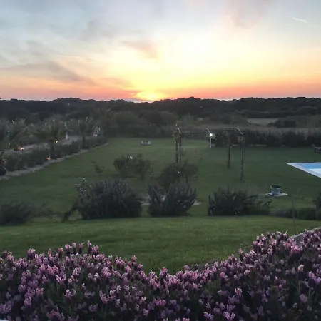 Villa Enga, With Pool, In Front Of The Sea And In The Middle Of Wineyards *