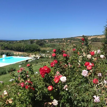 Villa Enga, With Pool, In Front Of The Sea And In The Middle Of Wineyards